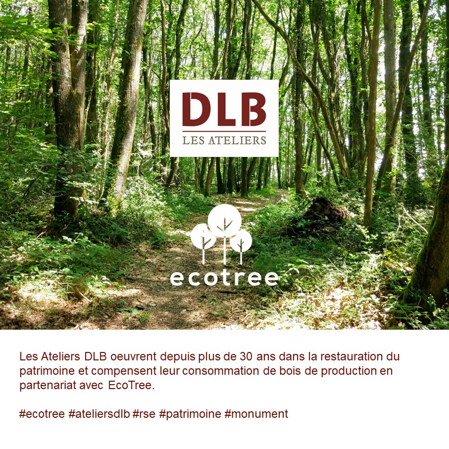 Planter Des Arbres Pour Sauver La Planète Ateliers DLB | Planter des arbres pour sauver la planète